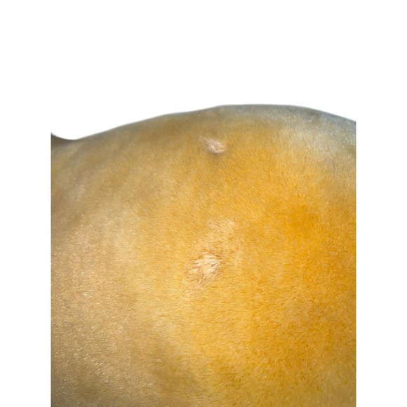 20" Giant Big Disney Winnie Pooh POOH Plush‎ Stuffed Animal  Vintage - Picture 5 of 7